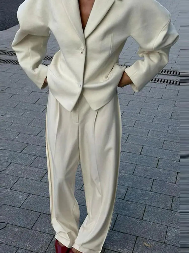 חליפת משי שני חלקים מחויטת מכנסיים ובלייזר - מורל