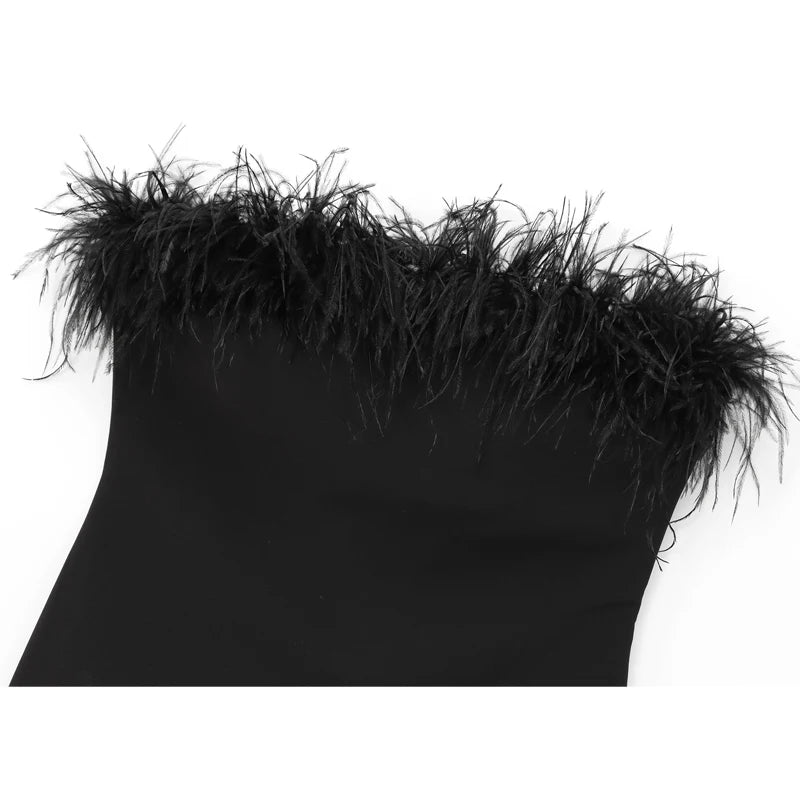 מחוך דגם אופיר